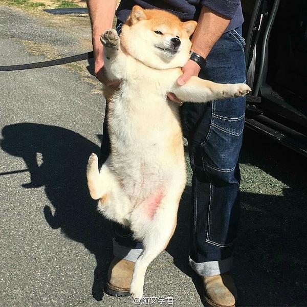 [DEMO] 转录视频脚本